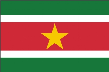 苏里南国旗