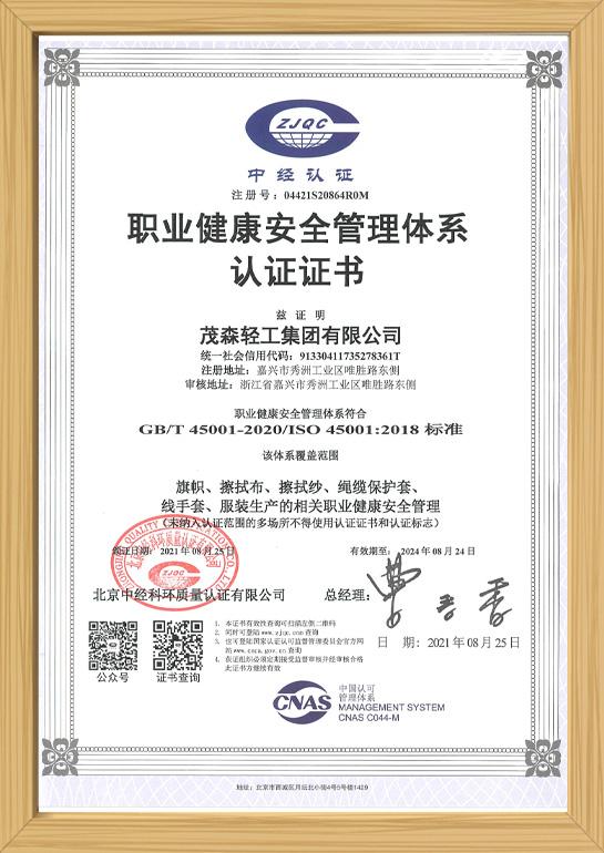 职业健康安全管理体系